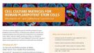 Cell Culture Matrices for Human Pluripotent Stem Cells