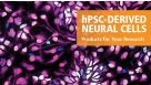 hPSC-Derived Neural Cell Research