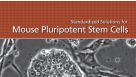 Standardized Solutions for Mouse Pluripotent Stem Cells
