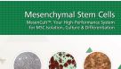 MesenCult&trade;: Your High-Performance System for MSC Isolation, Culture & Differentiation