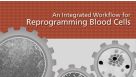 An Integrated Workflow for Reprogramming Blood Cells