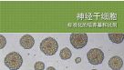 Neural Stem Cells: Standardized Media and Reagents