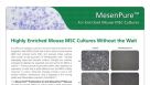 MesenPure&trade; for Enriched Mouse Mesenchymal Stem Cell (MSC) Cultures