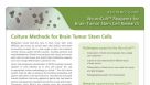 NeuroCult™: Reagents for Brain Tumor Stem Cell Research