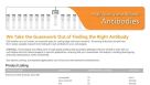 Antibodies for Cell Culture