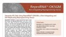 ReproRNA™-OKSGM Non-Integrating Reprogramming Vector