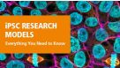 Induced Pluripotent Stem Cells as Accessible and Standard Research Models