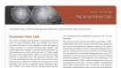 Pluripotent Stem Cells
