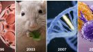Immunology Features
