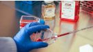 Transitioning from Feeder-Free Media to mTeSR™ Plus for Human Pluripotent Stem Cell Culture