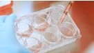 How to Coat Cultureware with Vitronectin XF™ for Pluripotent Stem Cell Culture