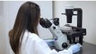 Enzyme-Free Passaging of Human Pluripotent Stem Cells Using Gentle Cell Dissociation Reagent