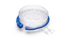 How to Create a Hypoxic Environment for Cell Culture