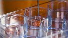How to Prepare and Plate Semi-Solid Methylcellulose Medium for Cell Culture