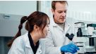 Protocol for FACS Staining