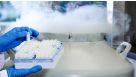 How to Thaw Intestinal Organoids
