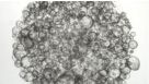 Passaging Intestinal Organoids into Suspension Culture Using IntestiCult™