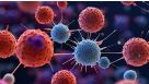 Stimulation of Antigen-Specific T Cells Using Peptide Pools