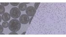 Single-Cell Passaging of 3D hPSC Suspension Cultures
