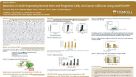Detection of ALDH-Expressing Normal Stem and Progenitor Cells, and Cancer Cell Lines Using ALDEFLUOR™