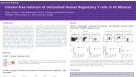 Immunomagnetic Cell Isolation of Untouched Human Regulatory T Cells