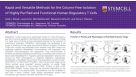 Column-Free Isolation of Highly Purified and Functional Human Regulatory T Cells