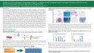 MesenCult ACF Chrondrogenic Differentiation Medium