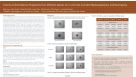 Toxicity on Bone Marrow Progenitors from Different Species: an In Vitro Test to Predict Myelosuppression and Neutropenia