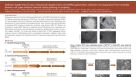 Defined, Feeder-Free Human Induced Pluripotent Stem Cell (hiPSC) Generation, Selection and Expansion from Multiple Somatic Cell Types