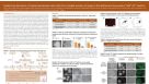 Feeder-Free Derivation of Induced Pluripotent Stem Cells from Multiple Somatic Cell Types in the Defined and Low-Protein TeSR™-E7™ Medium