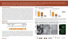 Reprogramming of Somatic Cells to Induced Pluripotent Stem Cells in TeSR™-E7™, a Feeder-Free, Defined, and Low-Protein Medium