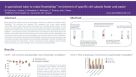 A Specialized Tube to Make Rosettesep™ Enrichment of Specific Cell Subsets Faster and Easier