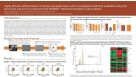 Highly Efficient Differentiation of Human Pluripotent Stem Cells to Multipotent Definitive Endoderm Using STEMdiff™ Definitive Endoderm Culture System