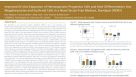 Improved Ex Vivo Expansion of Hematopoietic Progenitor Cells from Cord Blood in a Novel Serum and Animal Component Free Medium