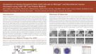 Comparison of Human Pluripotent Stem Cells Cultured on Matrigel™ and Recombinant Human Vitronectin Using TeSR™-E8™ Low Protein Medium