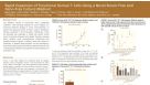 Rapid Expansion of Functional Human T Cells Using a Novel Serum-Free and Xeno-Free Culture Medium