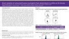 Isolation of Untouched Neutrophils Directly from Whole Blood in 20 Minutes