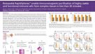 Releasable RapidSpheres Enable Immunomagnetic Purification of Highly Viable and Functional Immune Cells from Complex Tissues in Less Than 30 Minutes