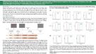 Defined Culture Conditions for Efficient Derivation Expansion and Cryopreservation of Mesenchymal Progenitor Cells from Human Pluripotent Stem Cells