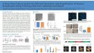 A Xeno-Free Culture System for Efficient Derivation and Amplification of Human Endothelial Colony-Forming Cells From Umbilical Cord Blood