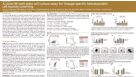 A Novel 96-well Plate Cell Culture Assay for Lineage-Specific Hematopoietic Cell Toxicity Screening