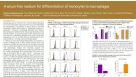 A Serum-Free Medium for Differentiation of Monocytes to Macrophages
