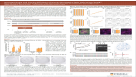 Increased Single-Cell Cloning Efficiency of Human Pluripotent Stem Cells Using CloneR™