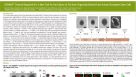 STEMdiff Cerebral Organoid Kit: A New Tool for the Culture of 3D Brain Organoids Derived from Human Pluripotent Stem Cells