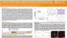 BrainPhys™ Neuronal Medium: A Medium That Promotes the Maturation and Synaptic Function of Human Pluripotent Stem Cell (hPSC)-Derived Neurons in Long-Term Cultures