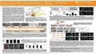 Highly Efficient Differentiation of Human Pluripotent Stem Cells into Long-term Expandable “Mini-gut” Organoids