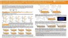 Routine Monitoring of Common Genetic Abnormalities in Human Pluripotent Stem Cells Using the hPSC Genetic Analysis Kit