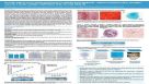 In Vitro and in Vivo Characterization of Human Bone Marrow-Derived Mesenchymal Stromal Cells in a Novel Animal Component-Free Culture Medium