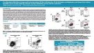 The Hybridoma Workflow is Improved by Incorporating CD138+ Cell Selection, B Cell Activation and Expansion, and Serum-Free Culture