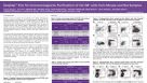 EasySep™ Kits for Immunomagnetic Purification of CD138+ cells from Mouse and Rat Samples